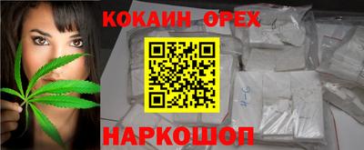 гидропоника Новозыбков