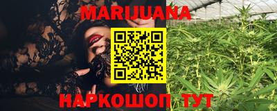 гидропоника Новозыбков
