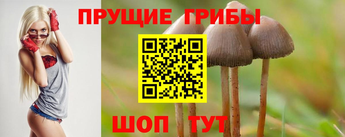 Галлюциногенные грибы Magic Shrooms Таганрог